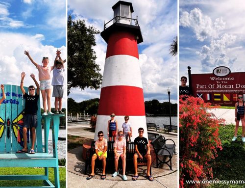 Mt Dora Florida: Your Guide to Family Fun